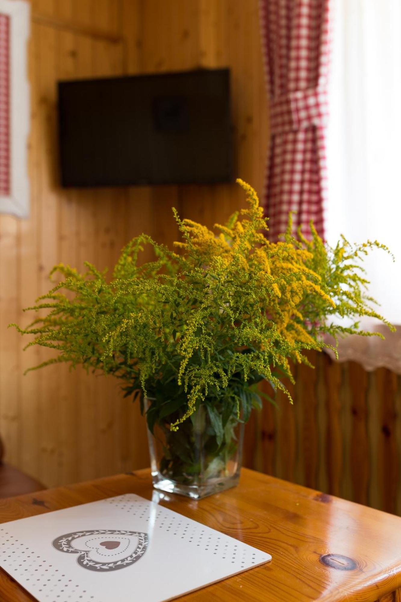 Homestay Goscinne Gabi Gniezdzewo